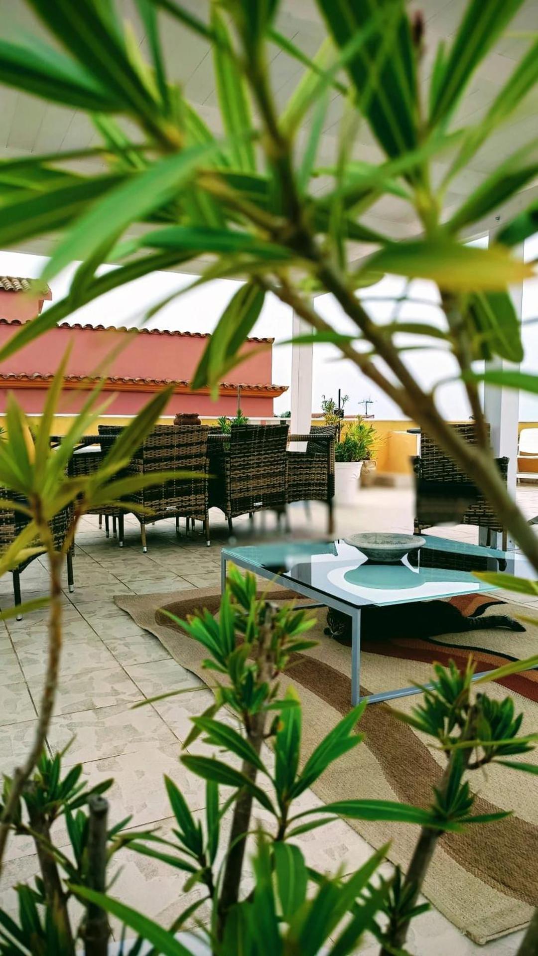 Domos Le Due Tuie Bed & Breakfast พิสซินาส ภายนอก รูปภาพ
