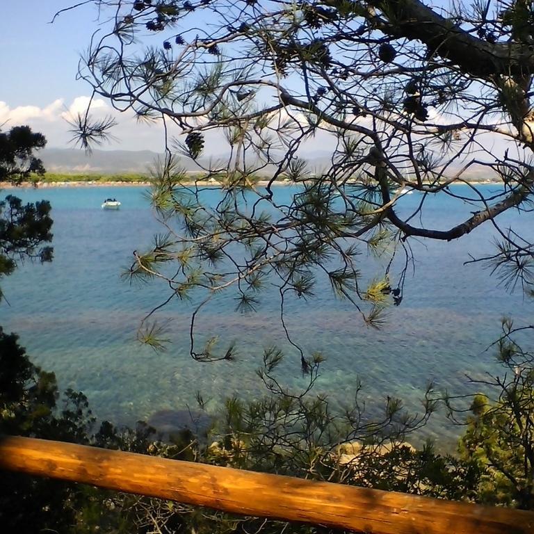 Domos Le Due Tuie Bed & Breakfast พิสซินาส ภายนอก รูปภาพ