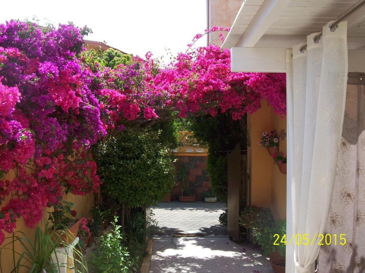 Domos Le Due Tuie Bed & Breakfast พิสซินาส ภายนอก รูปภาพ